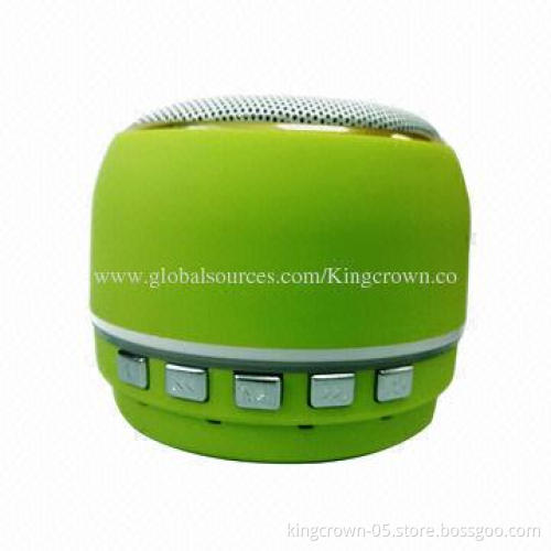 Stainless Bluetooth Speaker